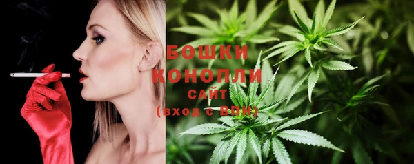 спиды Богородицк