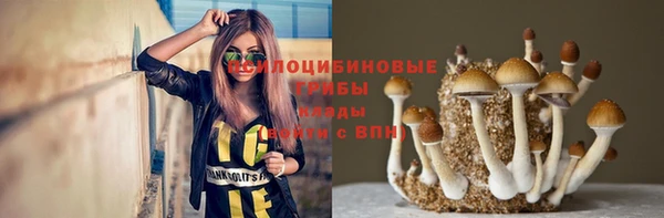 ECSTASY Богородск
