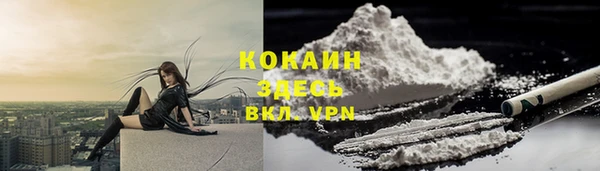 спиды Богородицк