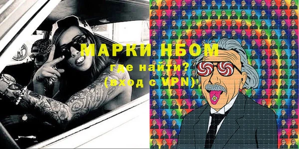 спиды Богородицк
