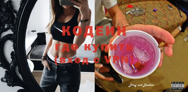 спиды Богородицк