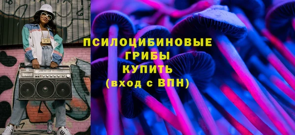 спиды Богородицк