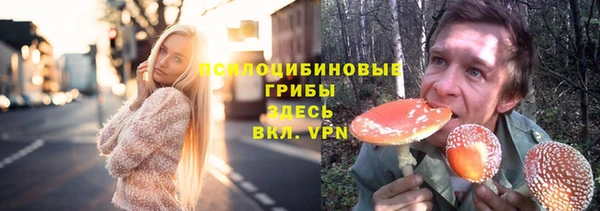 Альфа ПВП Строитель