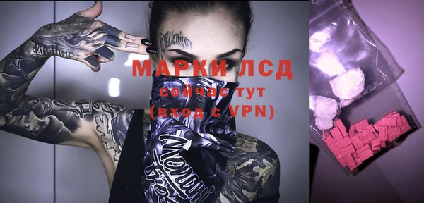 индика Ступино