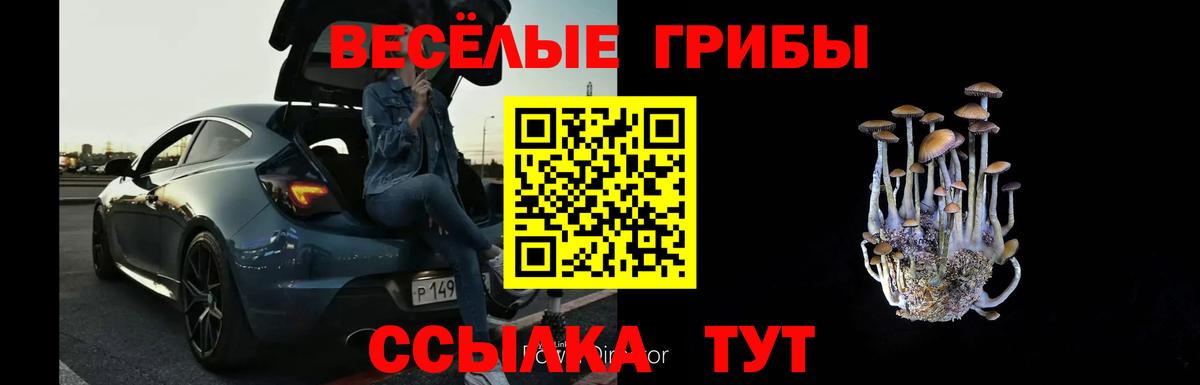 Галлюциногенные грибы GOLDEN TEACHER  купить наркоту  Псилоцибиновые грибы GOLDEN TEACHER  Кузнецк  Вход с VPN 